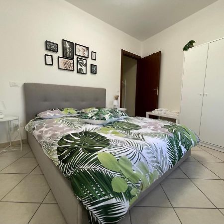 Castelli Home - Castelli Apartments Albano Laziale Kültér fotó